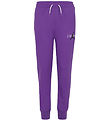 Jordan Sweatpants - Purple Venom