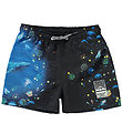 Molo Badeshorts - UV50+ - Niko - Plankton