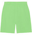 Molo Sweatshorts - Adian - Grass Green