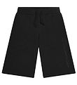 Champion Sweatshorts - Bermuda - Black Beauty