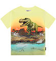 Molo T-shirt - Riley - Volcano Dino