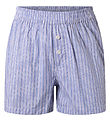 Hound Shorts - Light Blue Stripet