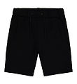 The New Shorts - ThOwen - Black Beauty