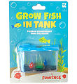 KeyCraft - Growing Fish in Tank