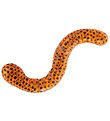 Keycraft - Beadz Alive Snake - Orange