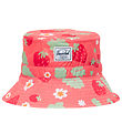 Herschel Bllehat - Toddler Beach UV - Shell Pink Sweet Strawber