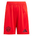 adidas Performance Shorts - FCB H SHO Y - Rød