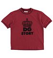 Dolce & Gabbana T-shirt - DNA - Rd m. Sort/Print