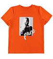 Hound T-shirt - Orange m. Print