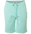 Hound Shorts - Mint Green