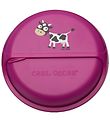 Carl Oscar Snackbox - BentoDISC -  18 cm - Purple Cow