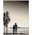 Vissevasse Plakat - 50x70 - Friends