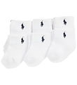Polo Ralph Lauren Strømper - 6-pak - Classic - Navy White