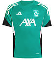 adidas Performance Fodboldtrøje - LFC EU - Seagre