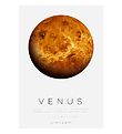 Citatplakat Plakat - B2 - Venus