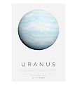 Citatplakat Plakat - B2 - Uranus