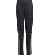 adidas Performance Træningsbukser - SQ25 TR PNT Y - Black/Tegrfo