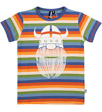 Danefæ T-shirt - Danerainbow - Ringer Cornucopa Erik