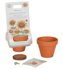 Little Dutch Potte m. Frø - Solsikke