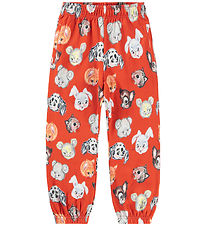 Molo Sweatpants - Adan - Rising Sun