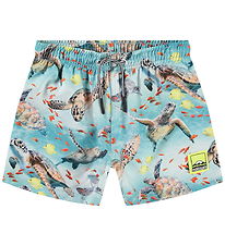 Molo Badeshorts - UV50+ - Niko - Marine Turtles