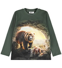 Molo Bluse - Reif - Bears in Cave