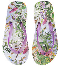 Molo Badesandaler - Zeppo - Wild Nature