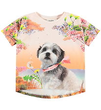 Molo T-shirt - Raeesa - Festivalgoers