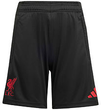 adidas Performance Shorts - LFC TR SHO Y - Sort