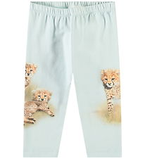 Molo Bukser - Simway - Cheetahs Cute