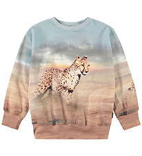 Molo Sweatshirt - Mattis - Running Cheetahs