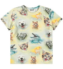 Molo T-shirt - Easy - Smiling Cubs