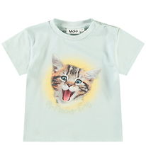Molo T-shirt - Enzo - A-Meow-Sing