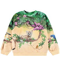 Molo Sweatshirt - Maxi - Pumatastic