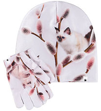 Molo Hue m. Handsker - Kaya - Willow Cat