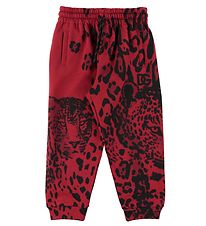 Dolce & Gabbana Sweatpants - Animalier - Rd Leo