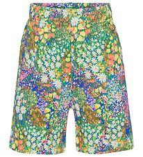 Molo Shorts - Adian - Flower Field