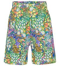 Molo Shorts - Adian - Flower Field