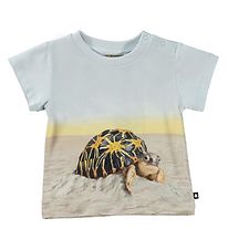 Molo T-shirt - Emilio - Sunny Turtles