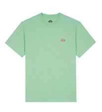 Dickies T-shirt - Mapleton - Quiet Green