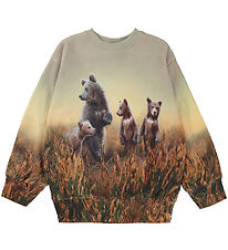 Molo Sweatshirt - Mattis - Bear Life