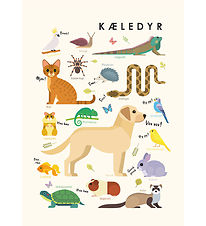 Citatplakat Plakat - Børneplakat - Kæledyr - A3