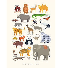 Citatplakat Plakat - Brneplakat - Asiens Dyr - A3