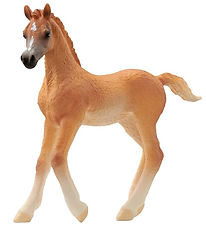 Schleich Horse Club - Araberføl - H: 8 cm - 13984