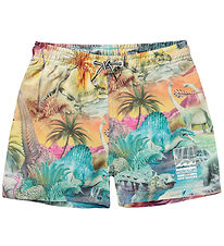 Molo Badeshorts - UV50+ - Niko - Dino Paradis