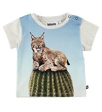 Molo T-Shirt - Eddie - Cactus Cat