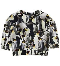 Molo Sweatshirt - Dag - Penguins Galore