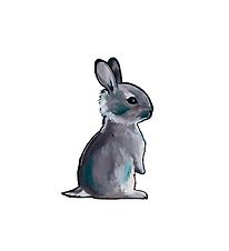 Citatplakat Plakat - A3 - Sweet Bunny