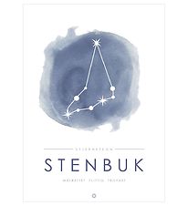 Citatplakat Plakat - A3 - Stjernebillede - Stenbuk - Blå