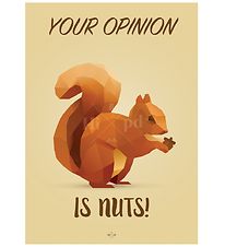 Hipd Plakat - A4 - Nuts